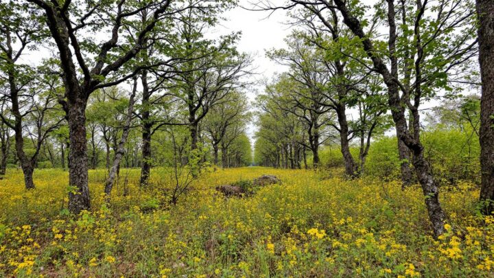 Les meilleures agences d&rsquo;intérim tertiaire à La Rochelle : comment se démarquent-elles ?